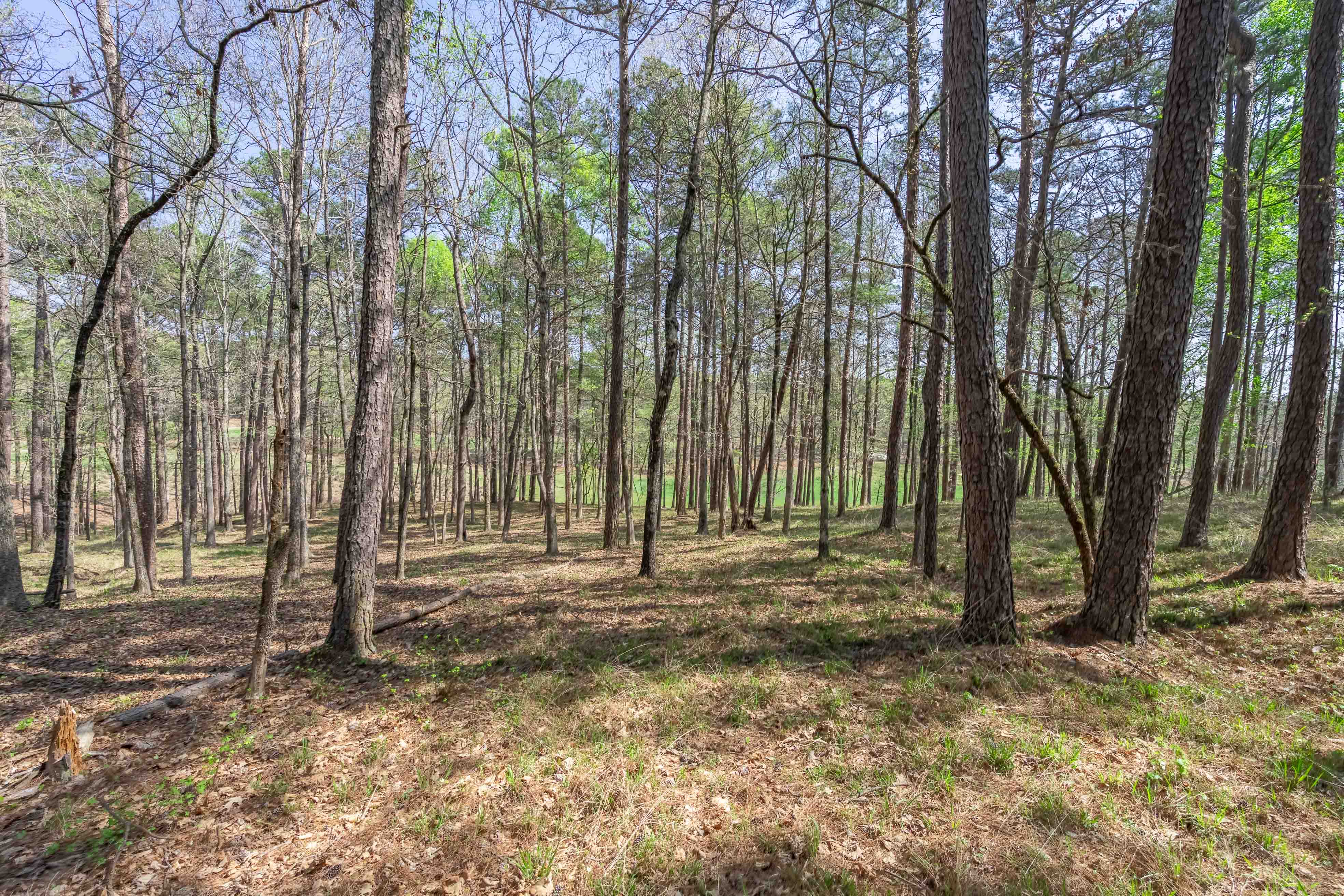 1190 Callahan's Ridge Road image 7